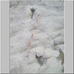 100_8401 (2011-09-26).JPG